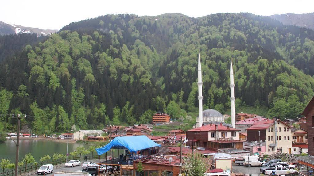 Kusva Apart Uzungöl Exteriör bild